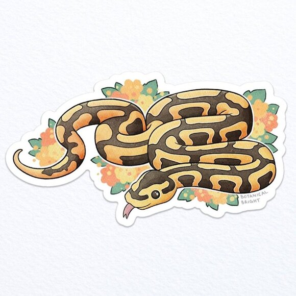 3 for $15‎ - Ball Python Snake Sticker - Waterproof Vinyl Nature Decal - Picture 2 of 7